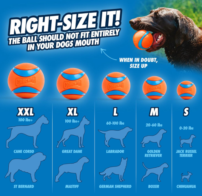 Chuckit ball 3