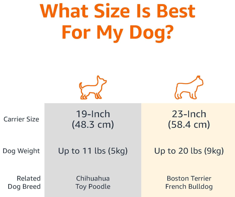 Amazon Basics 2-Door Top-Load Hard-Sided Dogs, Cats Pet Travel Carrier 4
