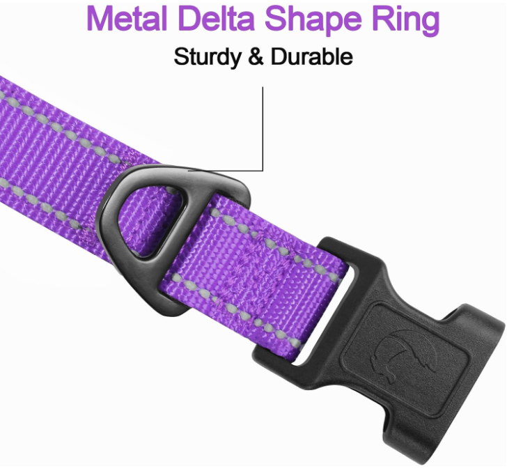 Joytale Reflective Dog Collar 3